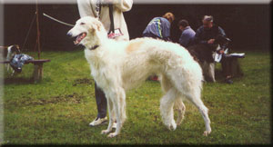elka